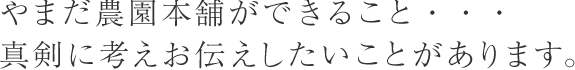 【基本理念】